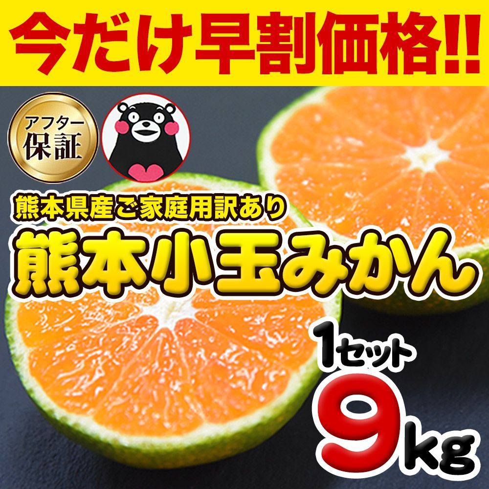 熊本県産 小玉みかん 9kg 訳あり 家庭用 送料無料 - メルカリ
