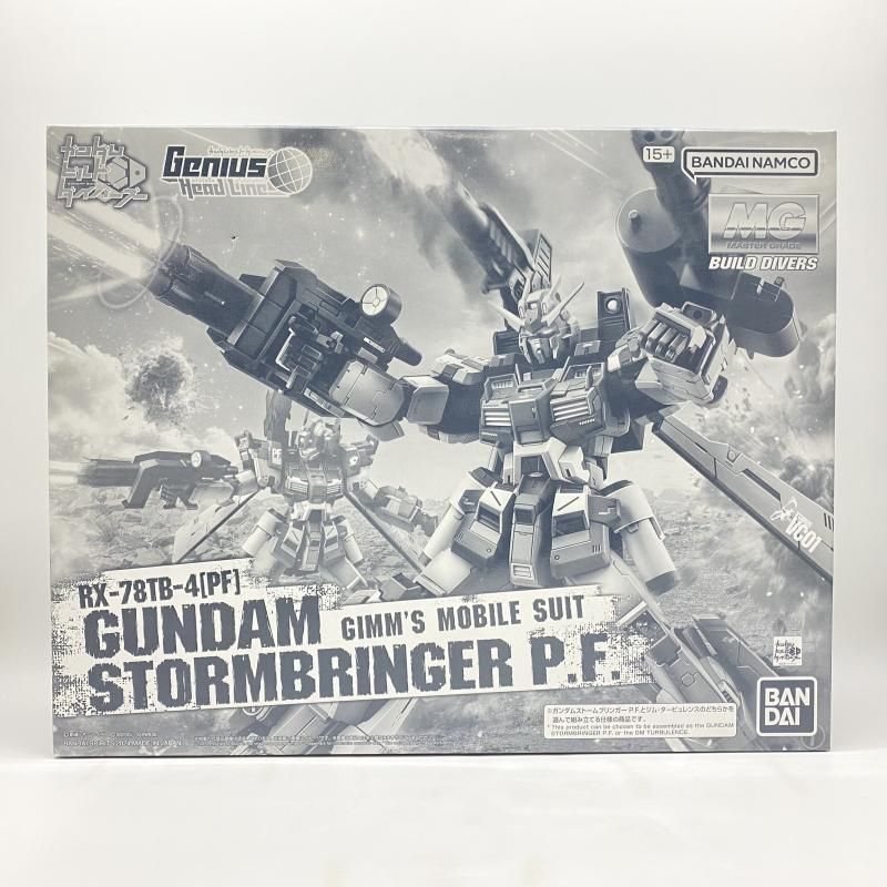 中古】 未組立) MG 1／100 ガンダムストームブリンガー P．F