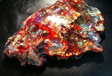 【新品】 天然石（原石） 天然化石珪化木両面研磨10000分の1三畳紀 標本 鉱物原石銘石インテリアオブジェ★超巨大1.315kg★230mm 26100258