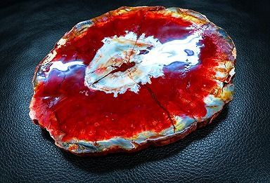 【新品】 天然石（原石） 天然化石珪化木両面研磨10000分の1三畳紀 標本 鉱物原石銘石インテリアオブジェ★超巨大1.050kg★210mm 26100274 29,250円