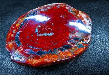 【新品】 天然石（原石） 天然化石珪化木両面研磨10000分の1三畳紀 標本 鉱物原石銘石インテリアオブジェ★超巨大1.225kg★220mm 26100275 29,250円