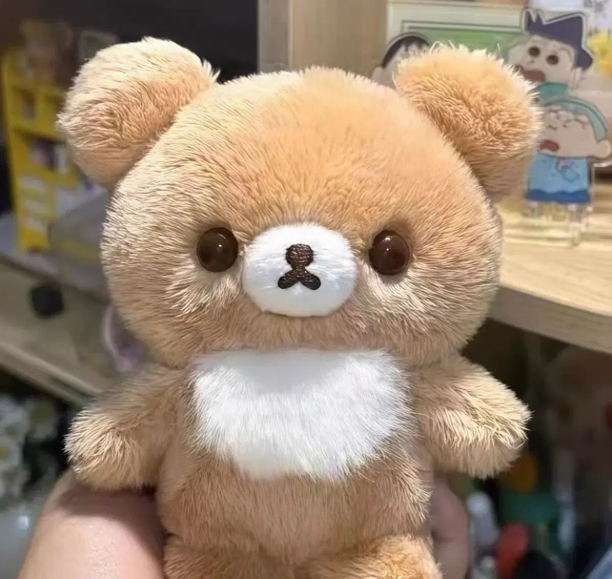サンエックス 正規品 リラックマ チャイロイコグマ 13cm 新品 セット