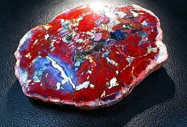 【新品】 天然石（原石） 天然化石珪化木両面研磨10000分の1三畳紀 標本 鉱物原石銘石インテリアオブジェ★超巨大733g★200mm 26100277