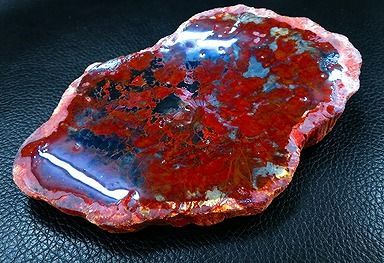 【新品】 天然石（原石） 天然化石珪化木両面研磨10000分の1三畳紀 標本 鉱物原石銘石インテリアオブジェ★超巨大748g★210mm 26100282