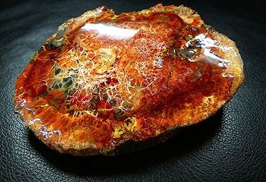 【新品】 天然石（原石） 天然化石珪化木両面研磨10000分の1三畳紀 標本 鉱物原石銘石インテリアオブジェ★超巨大517g★150mm 26100285
