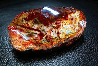 【新品】 天然石（原石） 天然化石珪化木両面研磨10000分の1三畳紀 標本 鉱物原石銘石インテリアオブジェ★超巨大390g★140mm 26100287