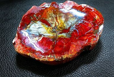 【新品】 天然石（原石） 天然化石珪化木両面研磨10000分の1三畳紀 標本 鉱物原石銘石インテリアオブジェ★超巨大500g★140mm 26100298 10,650円