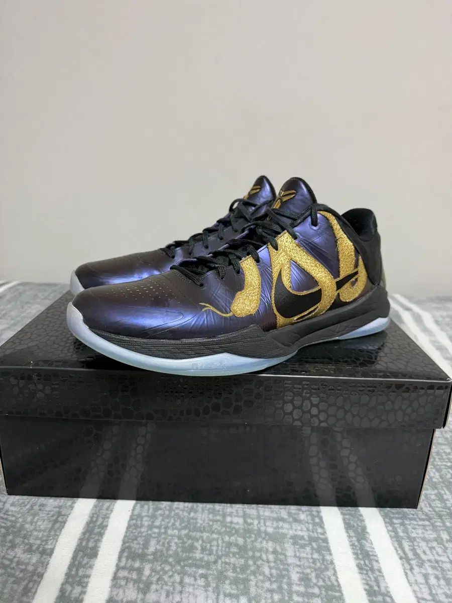 バスケットシューズ NIKE コービー 5 プロトロ EGG プラント 310mm