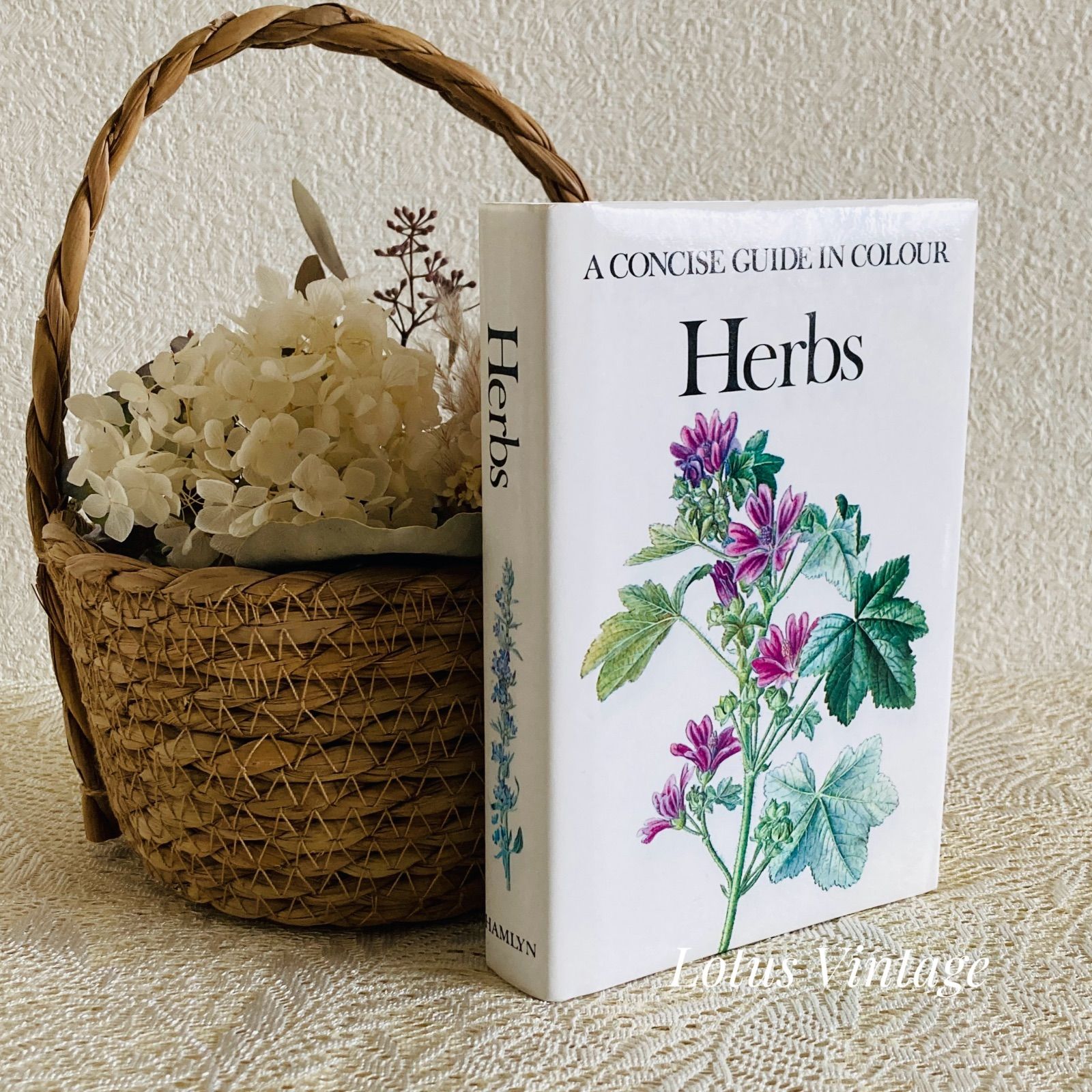 可憐な植物画のハーブ図鑑 Herbs インテリア洋書・古書 - メルカリ