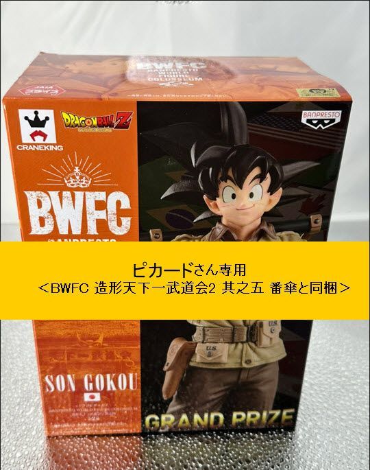 ピカードさん専用_BWFCドラゴンボール 造形天下一武道会2 其之四