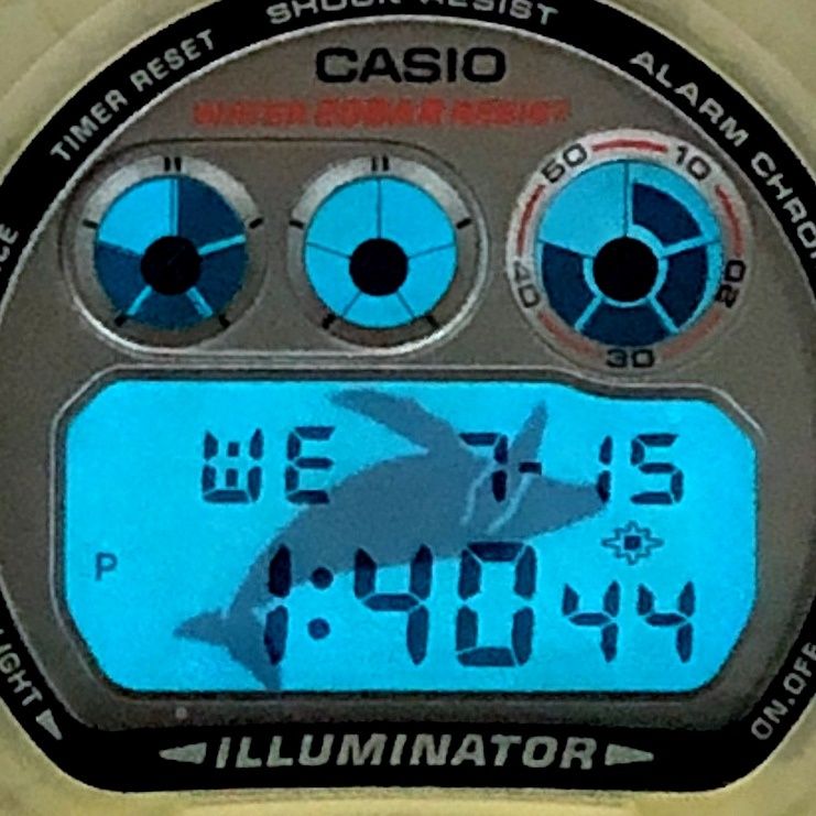 G-SHOCK ジーショック DW-6900K-8CT イルクジ ICERC コラボ 第5回国際
