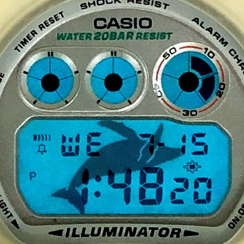 G-SHOCK ジーショック DW-6900K-8BT イルクジ ICERC コラボ 第5回国際