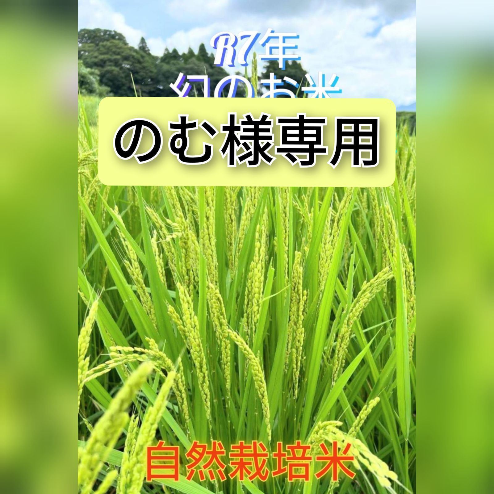 ころぽっくるさま専用 】こめこうじ 10kg 楽天市場】【最終在庫処分