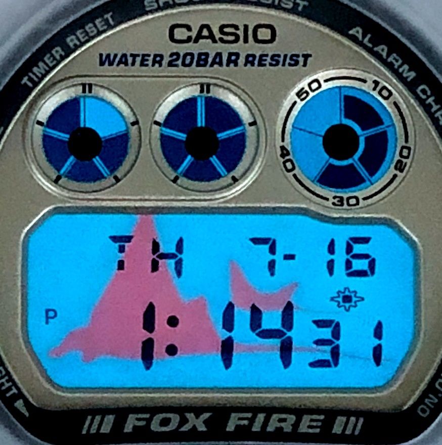 G-SHOCK ジーショック DW-6900WC-6T WCCS 世界サンゴ礁保護協会 コラボ