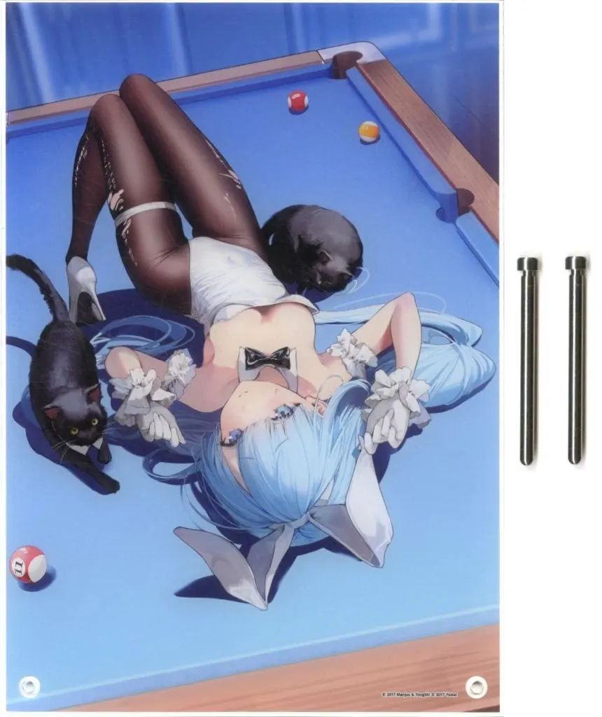【中古】アクリルスタンド・アクリルパネル ジェーナス アクリルパネル 「アズールレーン バニーフェア2026」 6,570円