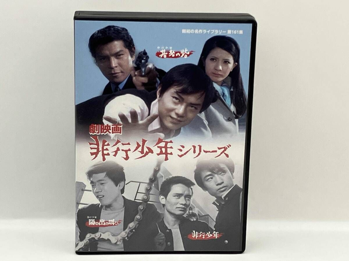 DVD 劇映画 非行少年シリーズ 根岸一正 2枚組