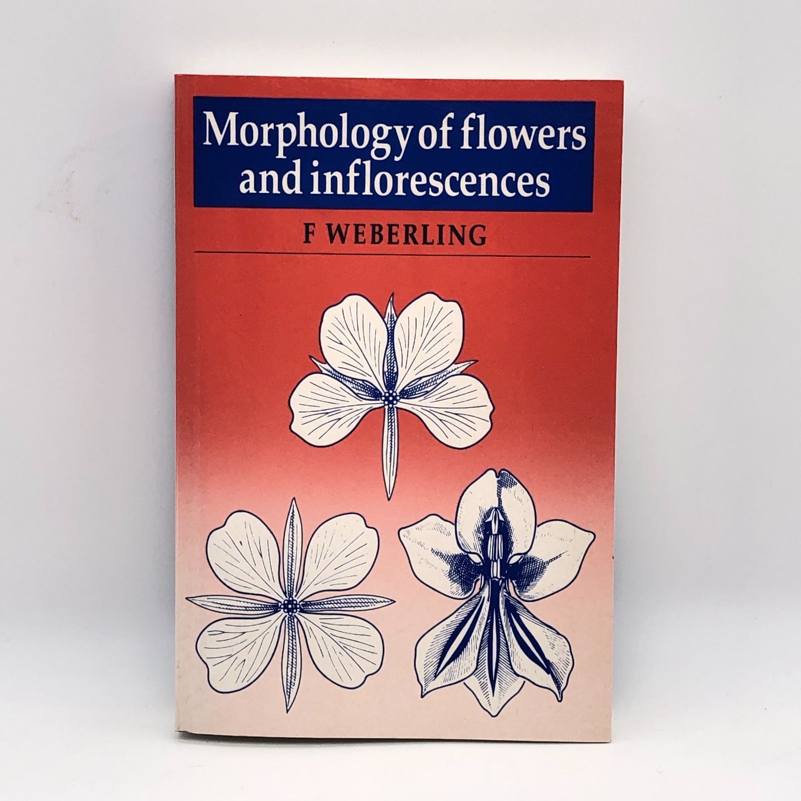 Morphology of flowers and inflorescences 花の形態学 植物学 分類学 学術洋書 Cambridge Book 6,376円
