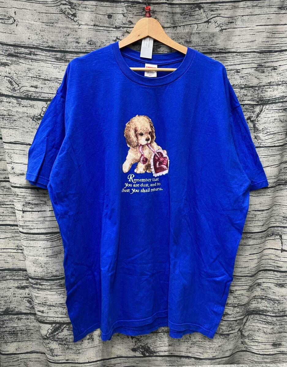 Supreme シュプリーム 半袖Tシャツ DUST TEE XXLサイズ