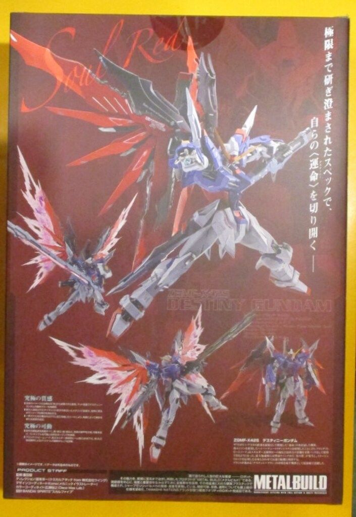 BANDAI SPIRITS METAL BUILD 機動戦士ガンダムSEED DESTINY