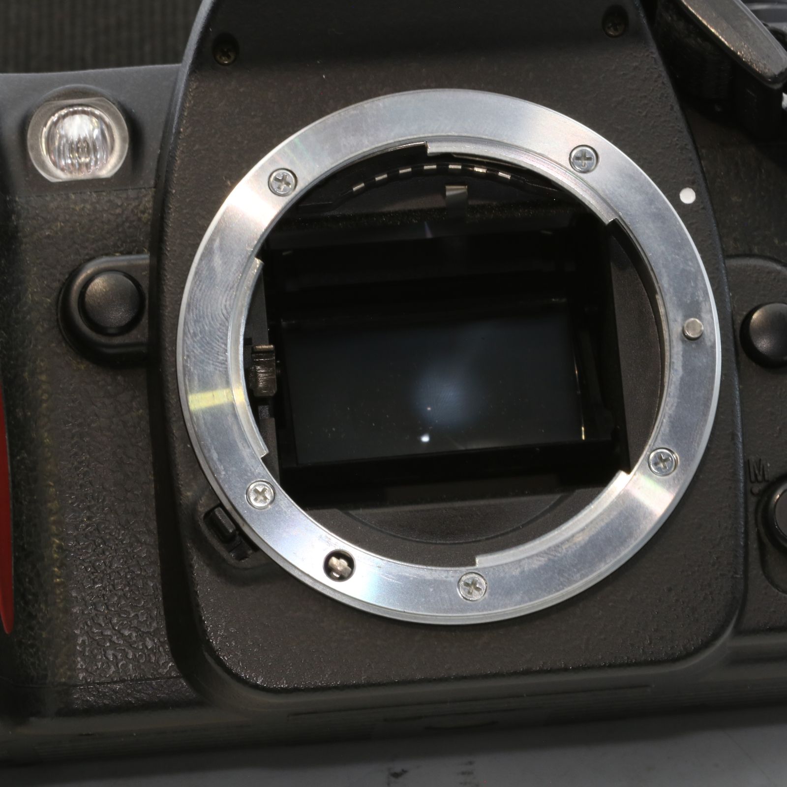 完動品】Nikon F80 フィルムカメラ 動作確認済み - メルカリ