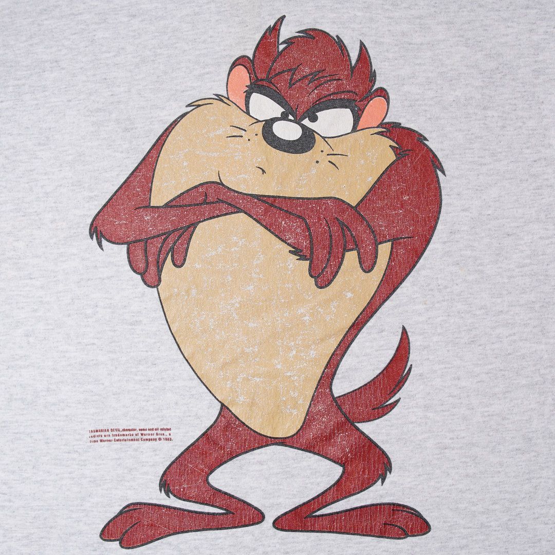 90s 1993年製 ルーニーテューンズ タズマニアンデビル Tシャツ L 相当