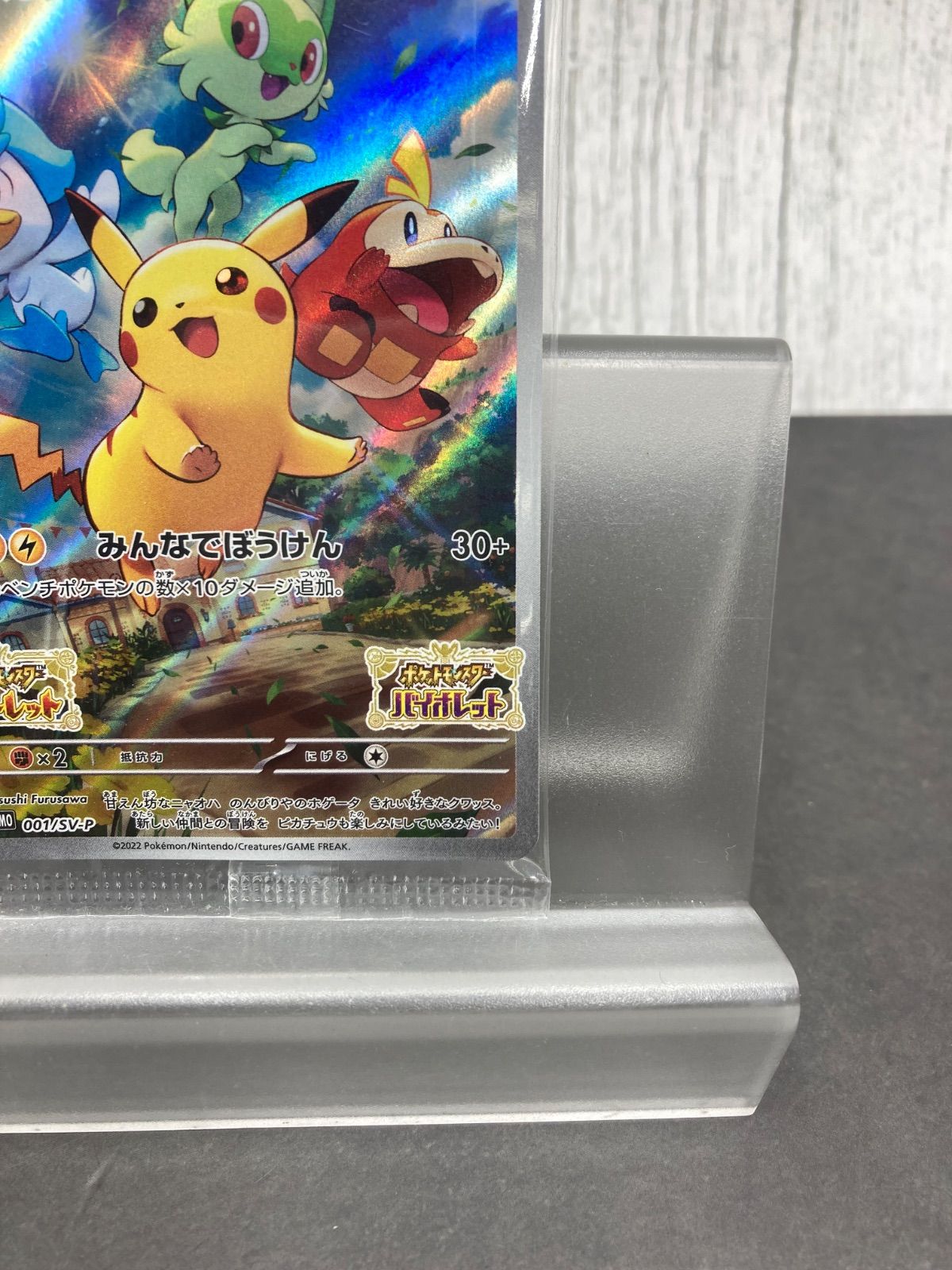 ポケモンカード ピカチュウ みんなでぼうけん 早期購入特典プロモ 12枚