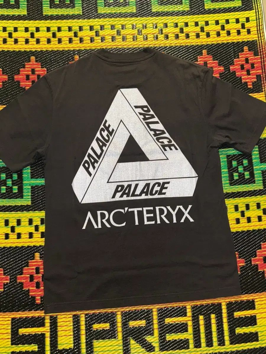 PALACE ARC'TERYX Tシャツ L