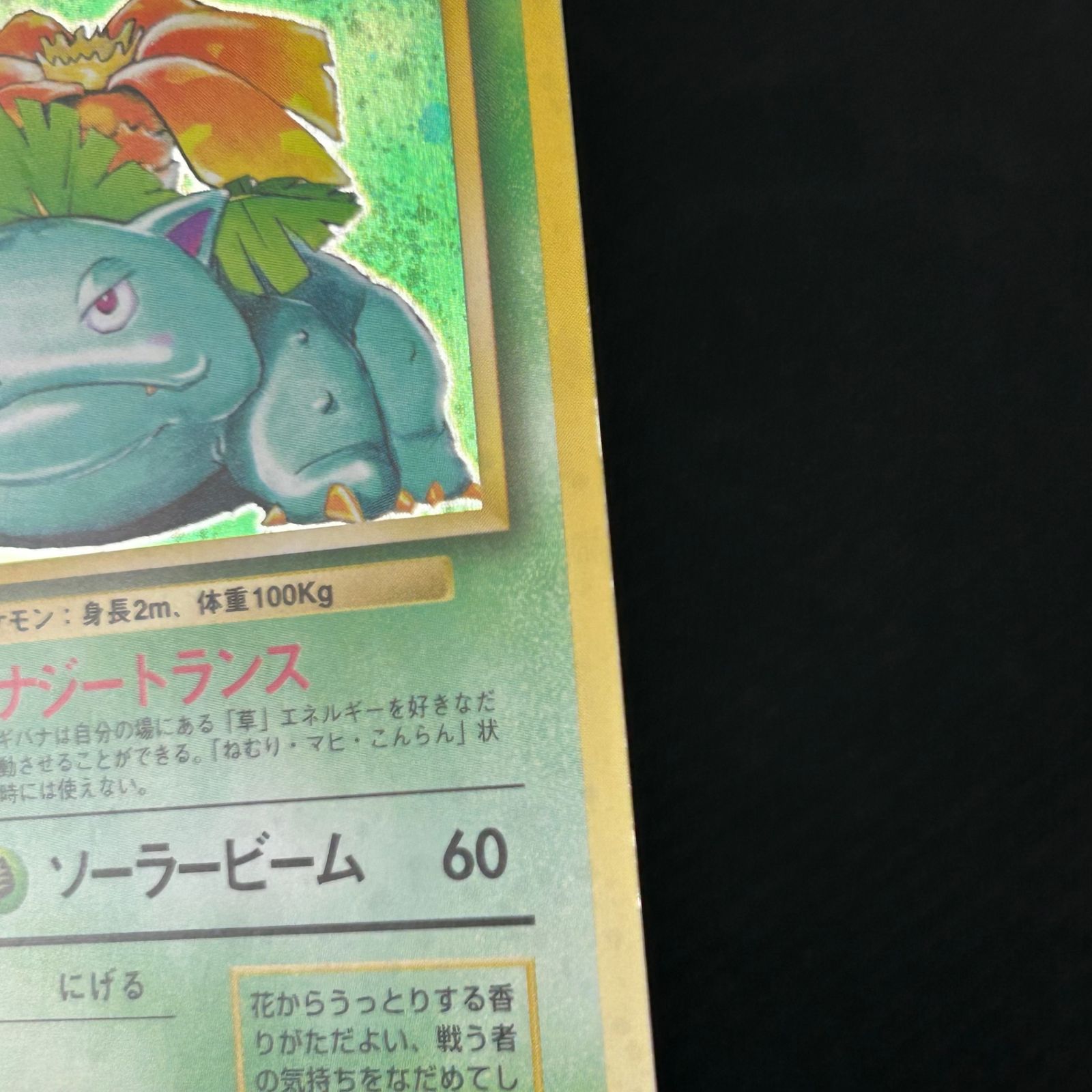 ポケカ 旧裏 フシギダネ LV.13 フシギソウ LV.20 フシギバナ LV.67 3枚