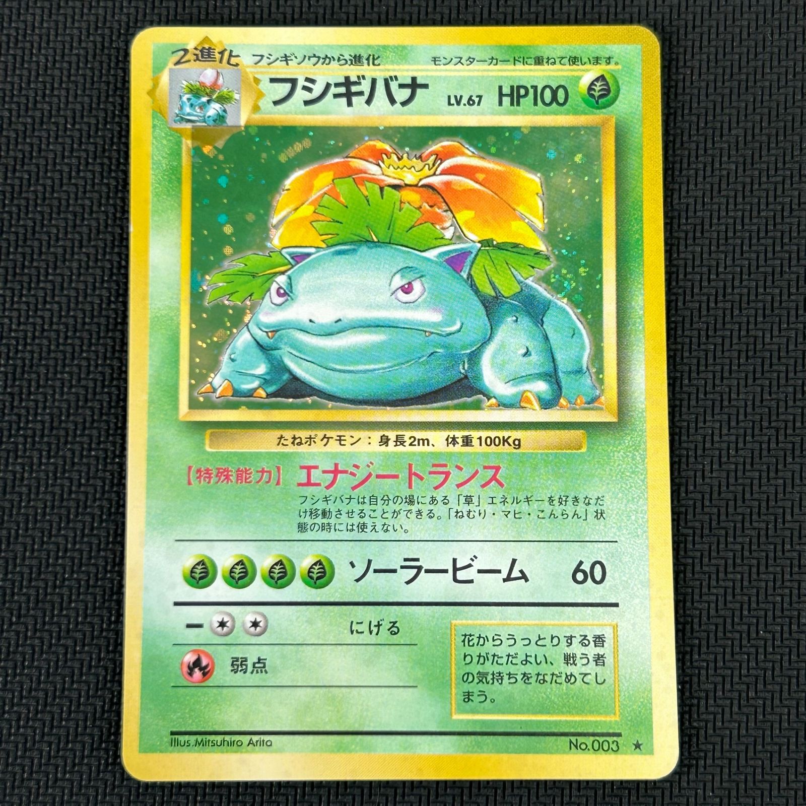 ポケカ 旧裏 フシギダネ LV.13 フシギソウ LV.20 フシギバナ LV.67 3枚