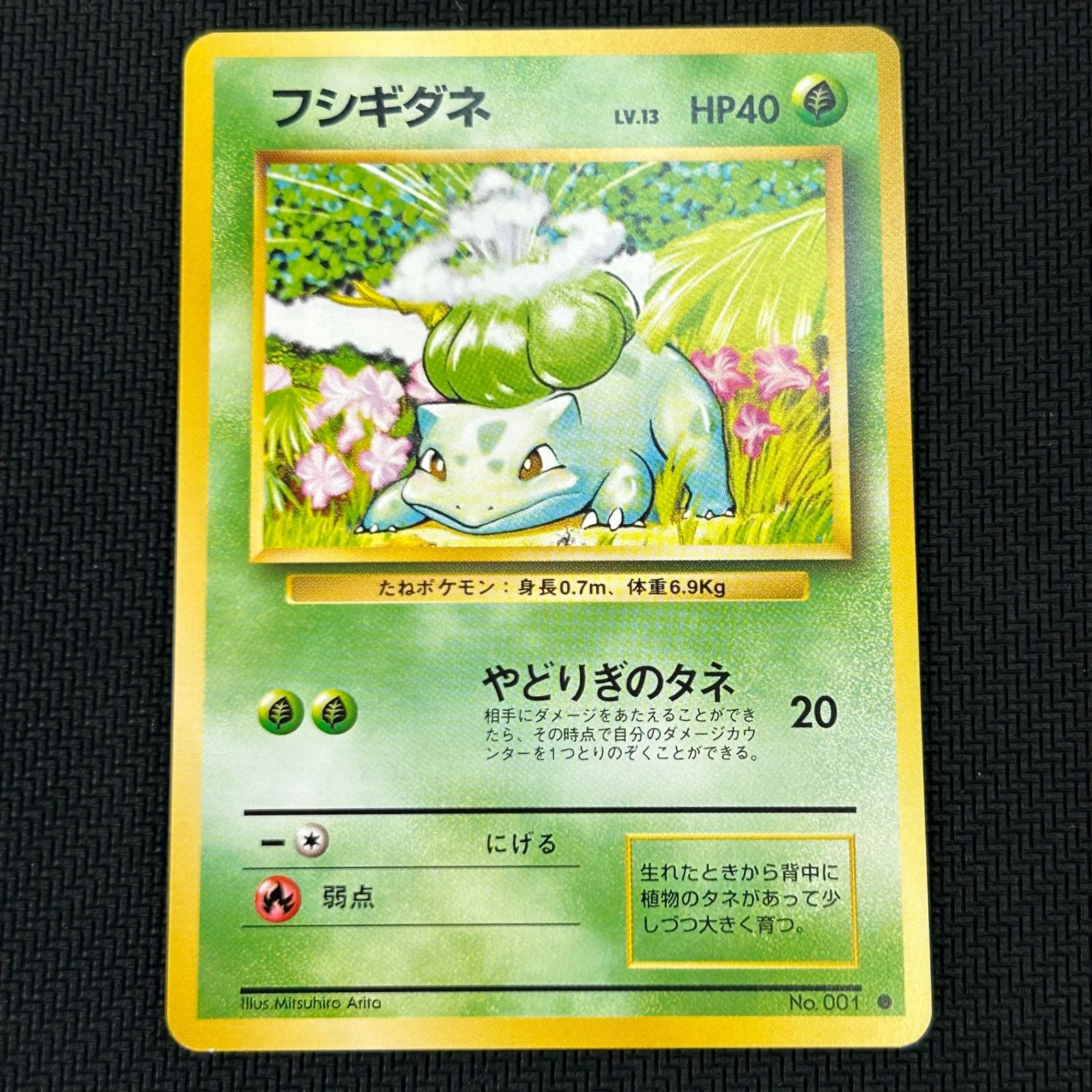 ポケカ 旧裏 フシギダネ LV.13 フシギソウ LV.20 フシギバナ LV.67 3枚