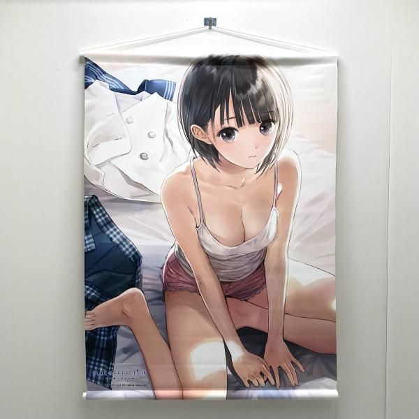 中古】白井日菜子(プライベートVer.) B2ダブルスエードタペストリー