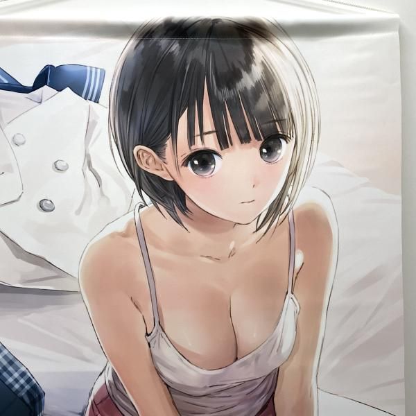 中古】白井日菜子(プライベートVer.) B2ダブルスエードタペストリー