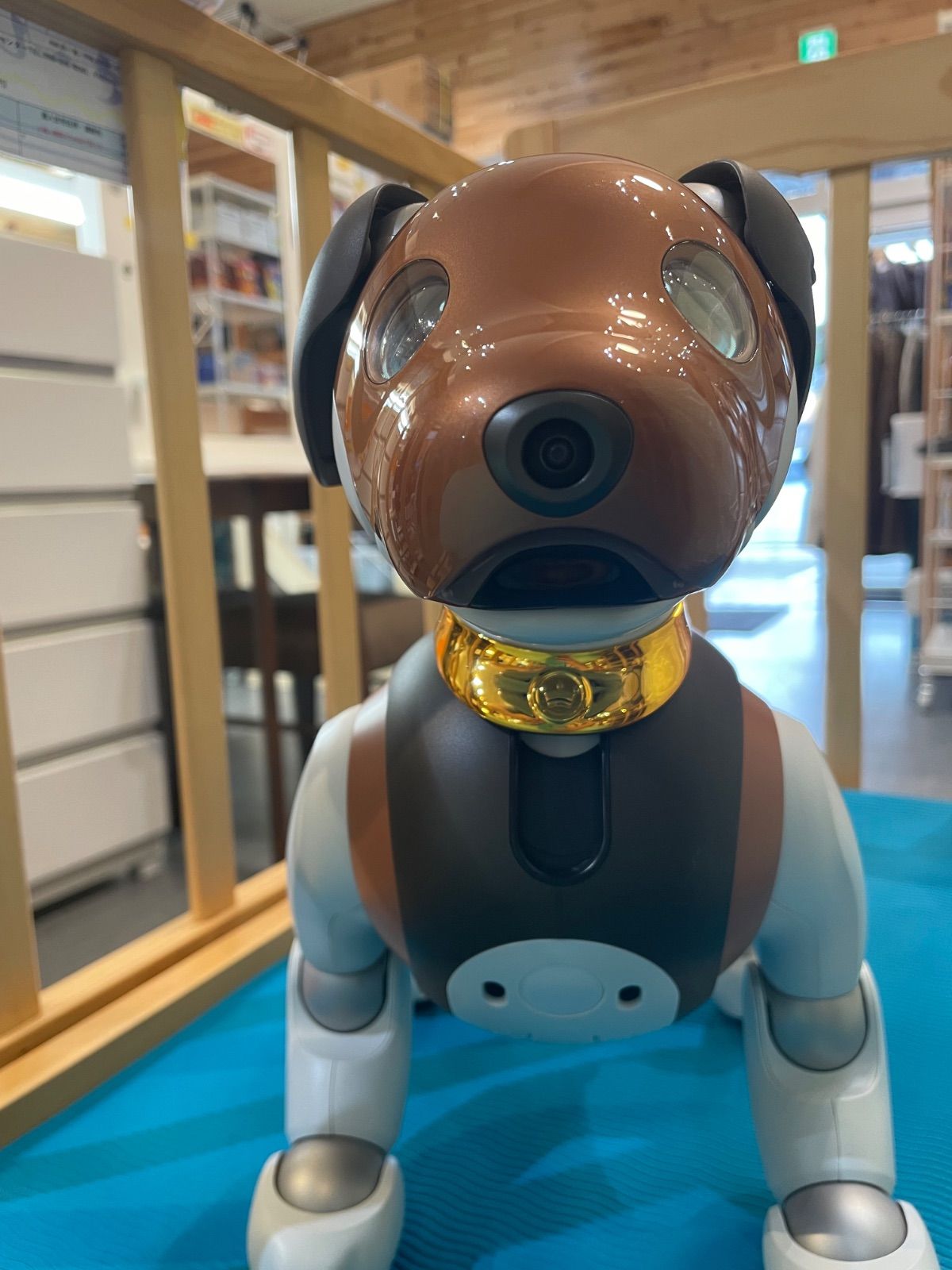 aibo / アイボ】【SONY】【2019年限定カラーモデルチョコ エディション