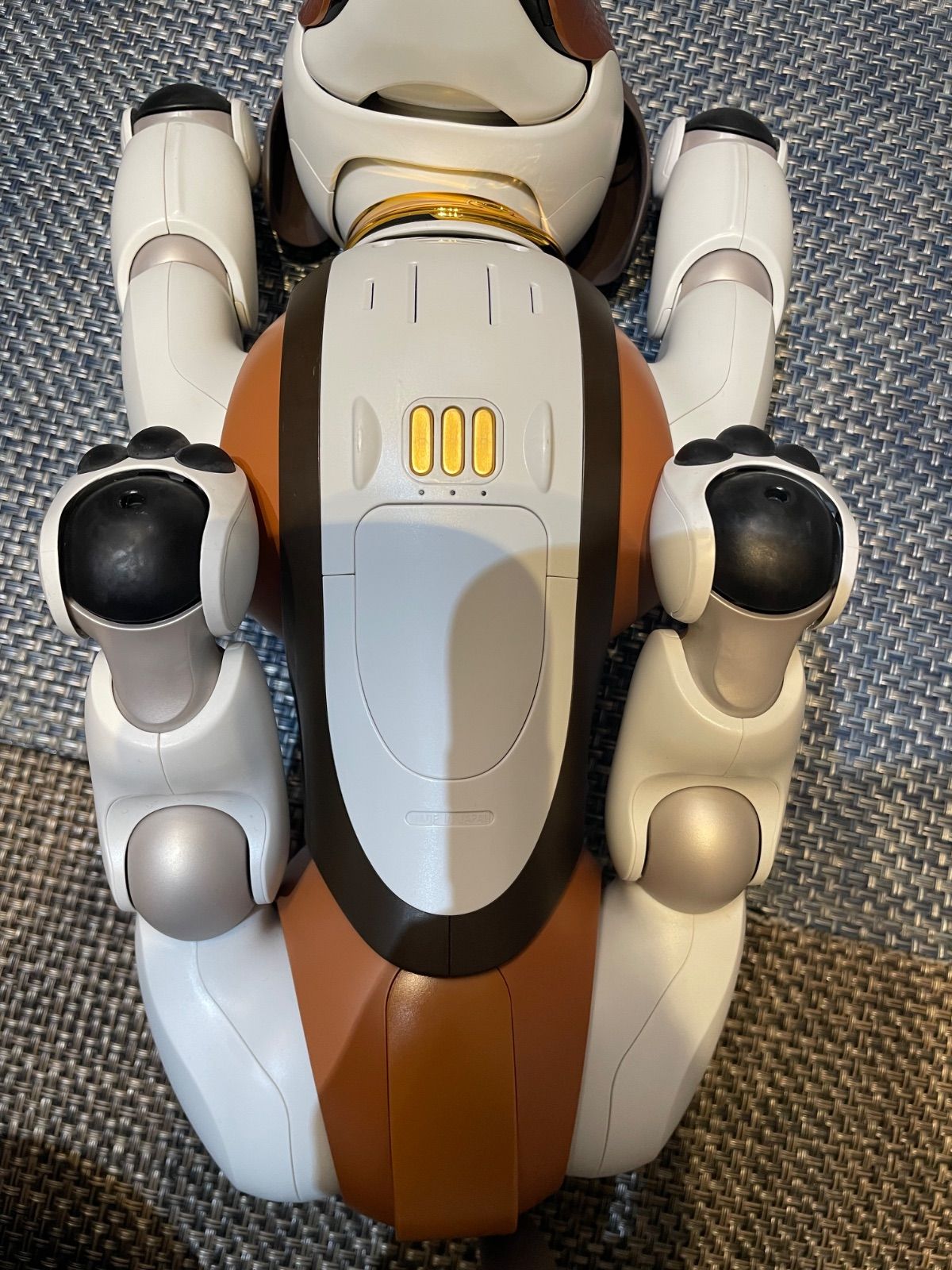 aibo / アイボ】【SONY】【2019年限定カラーモデルチョコ エディション