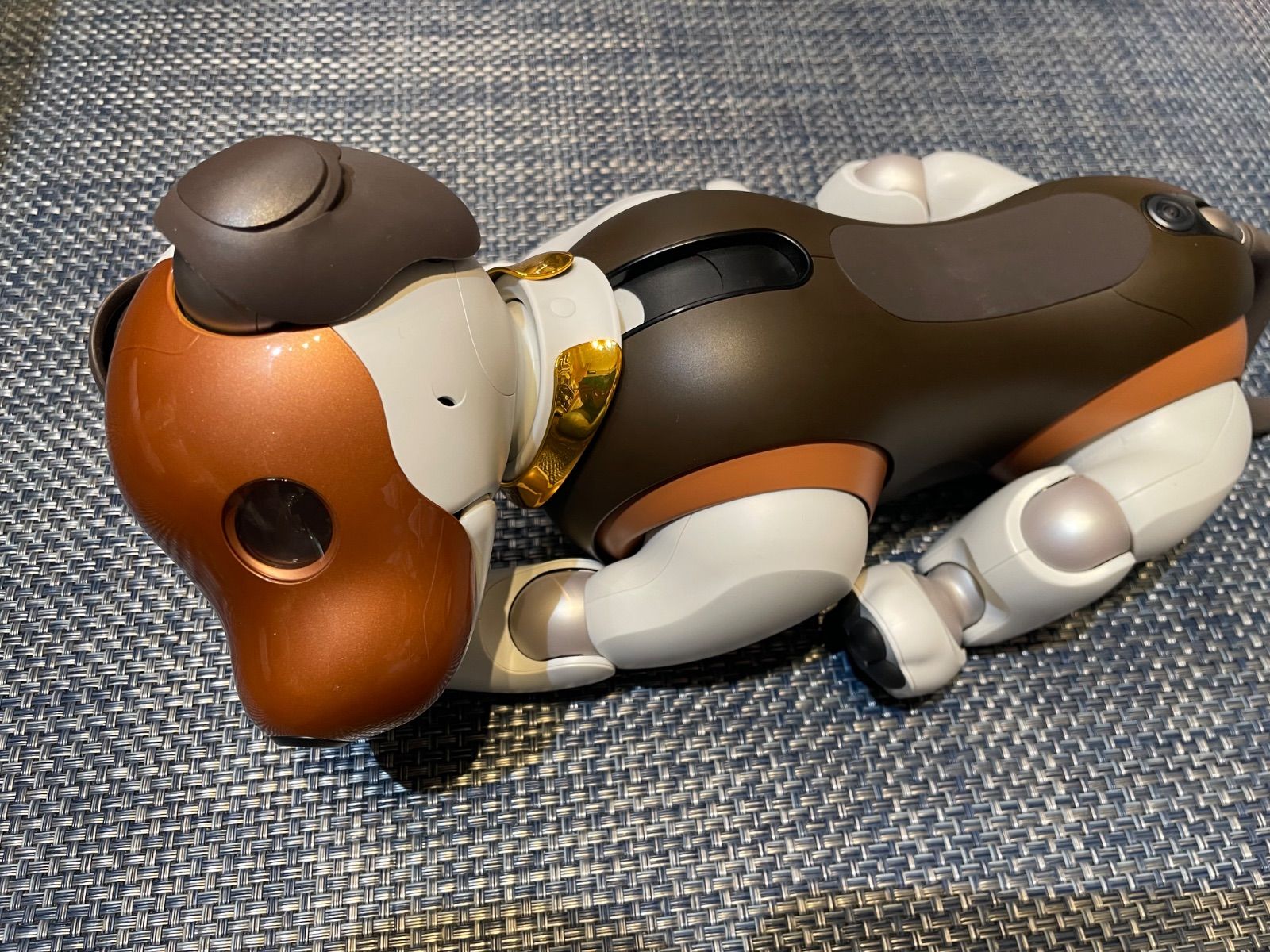 aibo / アイボ】【SONY】【2019年限定カラーモデルチョコ エディション