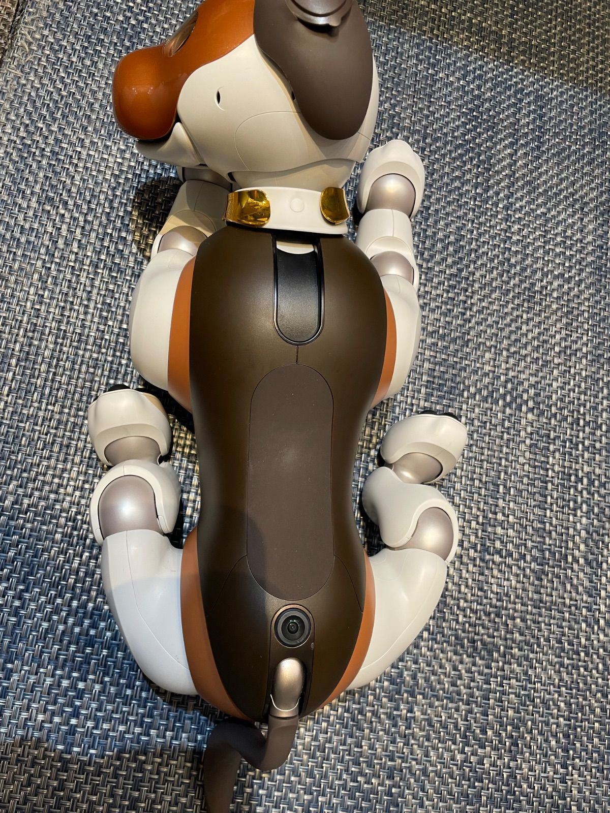 aibo / アイボ】【SONY】【2019年限定カラーモデルチョコ エディション