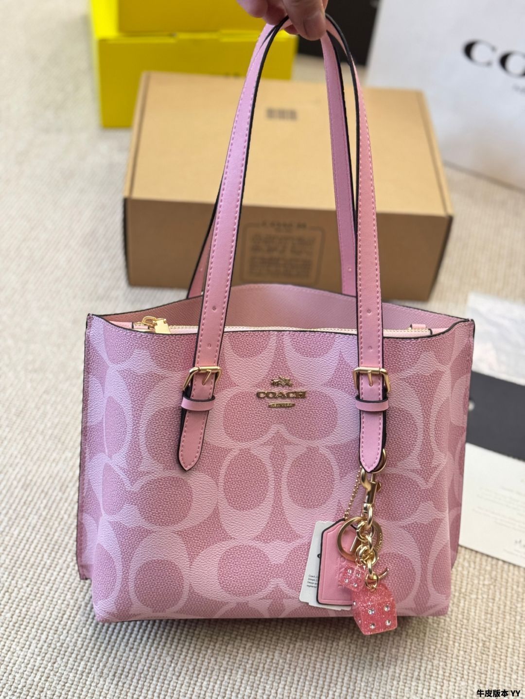 【今日特価】Coach Mollie25 トートバッグ（Mollie 25 Tote Bag）-MM輸入