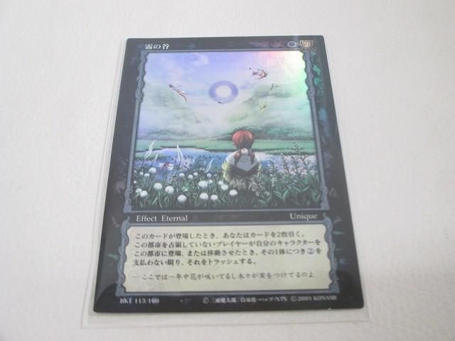 状態D トレーディングカード ベルセルク 113/160 霧の谷 ジル パラレルレア コナミ