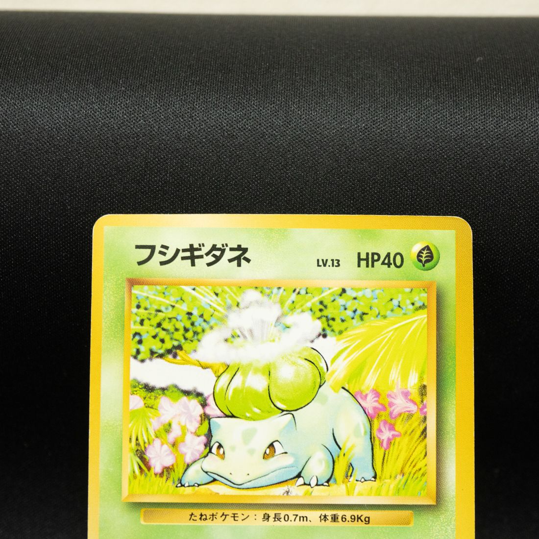 フシギダネ 旧裏 No.001 ポケモンカード - メルカリ