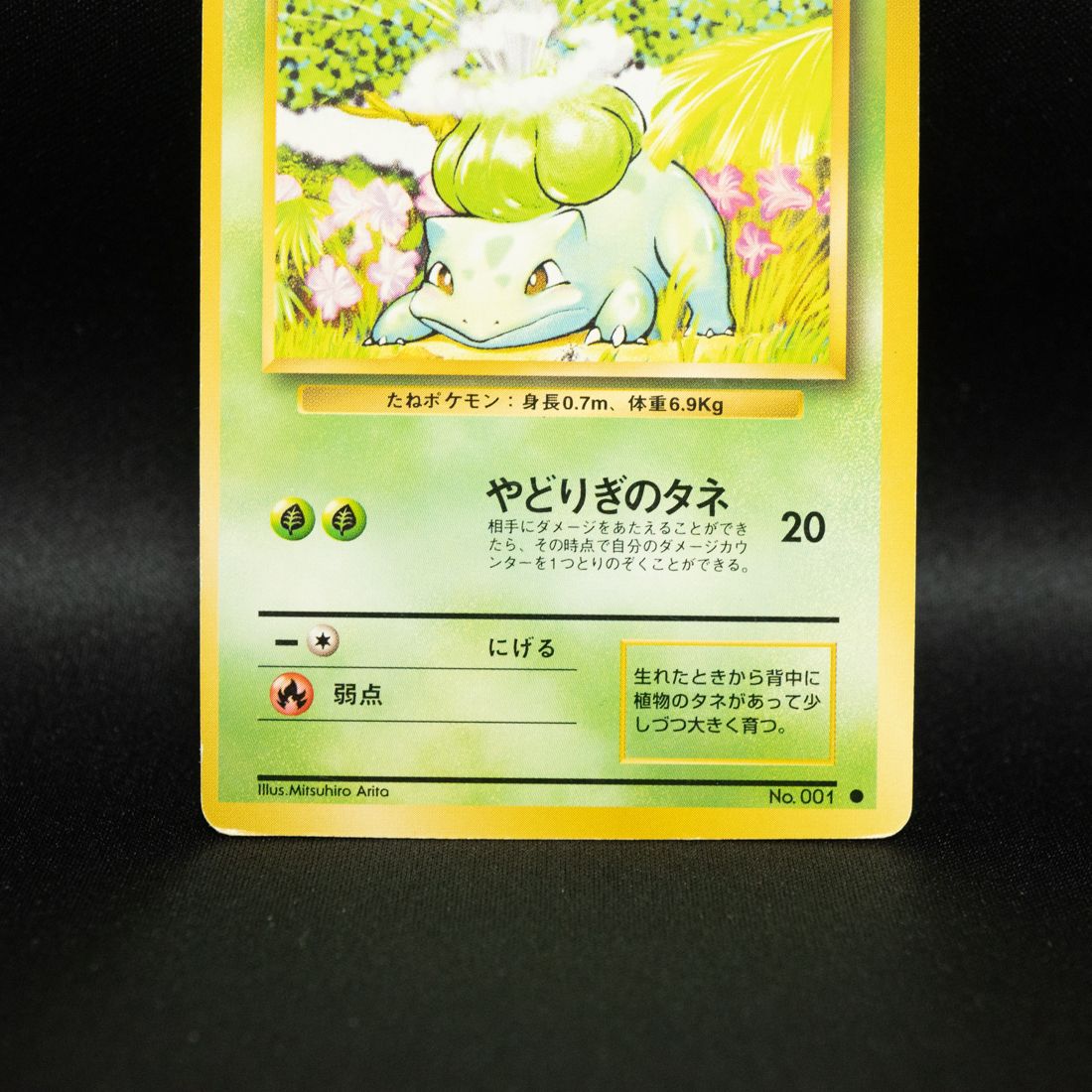 フシギダネ 旧裏 No.001 ポケモンカード - メルカリ