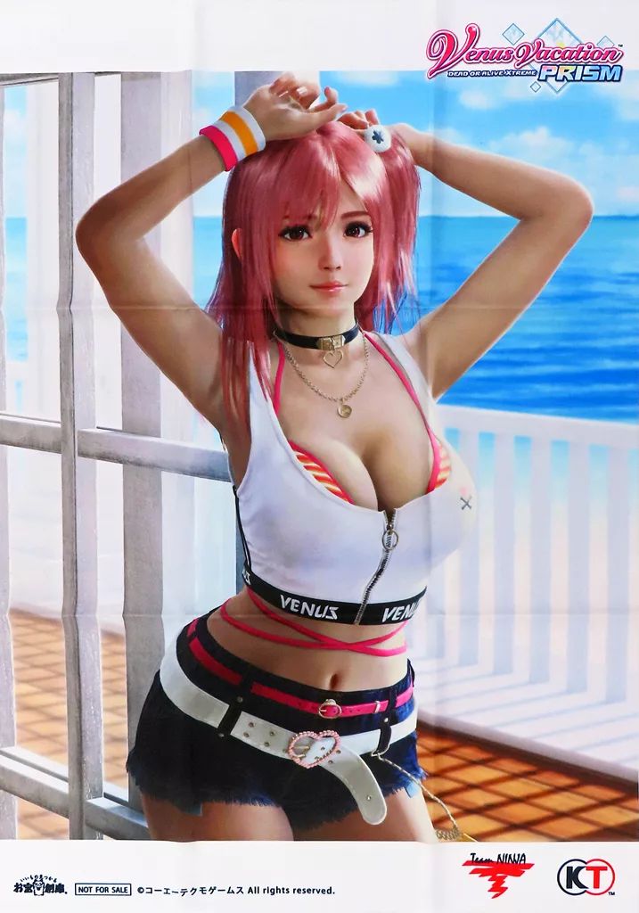 【中古】ポスター B2布ポスター ほのか 「PS5/PS4/PCソフト Venus Vacation PRISM -DEAD OR ALIVE Xtreme-」 お宝創庫購入特典