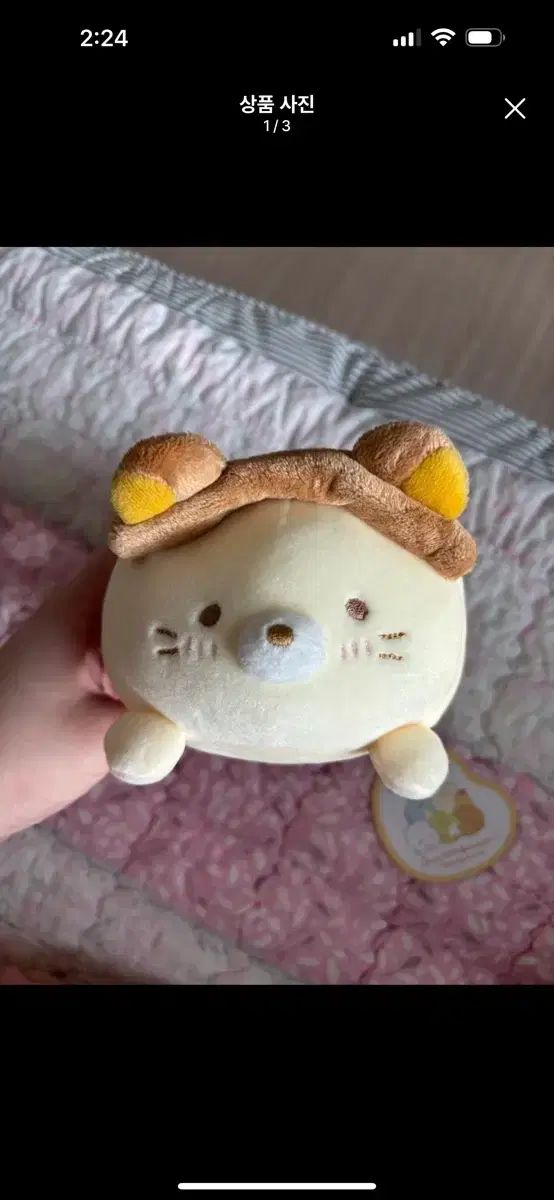 すみっコぐらし 猫 ウール もち ぬいぐるみ 限定モデル