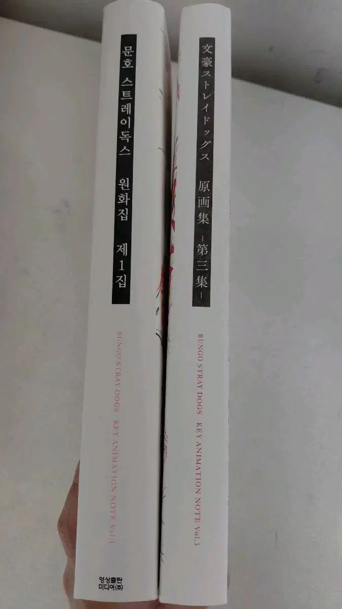 文豪ストレイドッグス 原画集 私 1 ジップ 韓国語版 3 日本語版 2 巻のまとめ