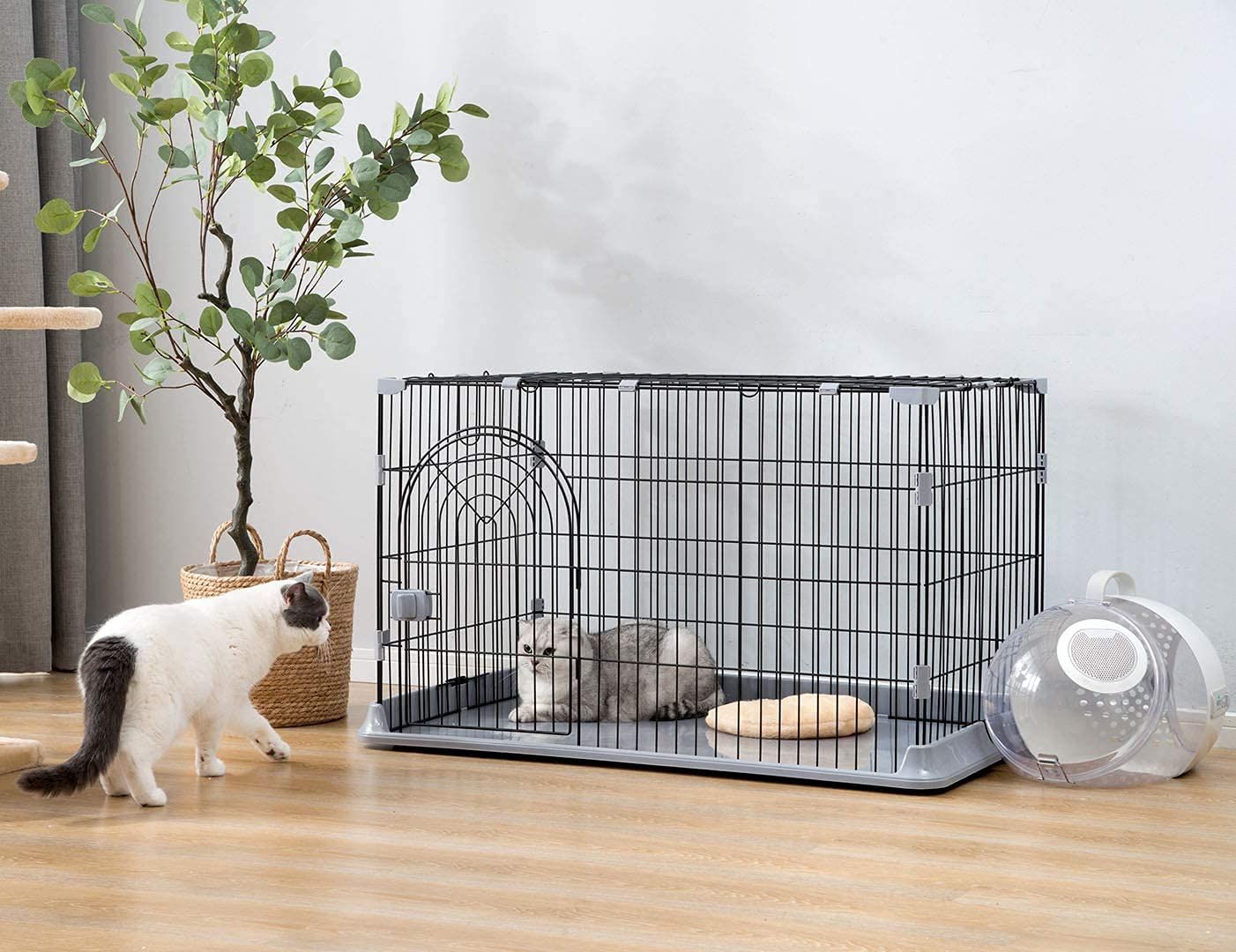 msN&S キャットランドケージ 猫ケージ 大型 折りたたみ キャットケージ ワイド扉 多頭飼い 脱走防止 猫ハウス 1段 組み替え自由 おしゃれ (ブラック, DC-001)