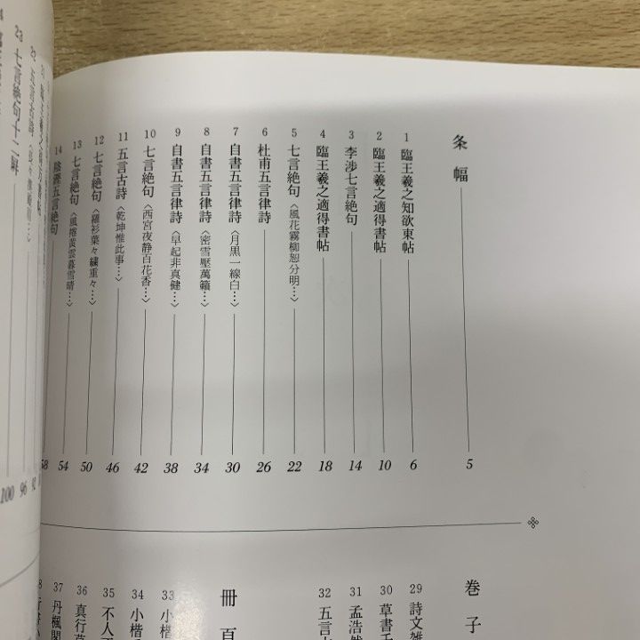 △01)【1点限り!】傅山の書法/山内観/二玄社/1994年/書道/習字/手本