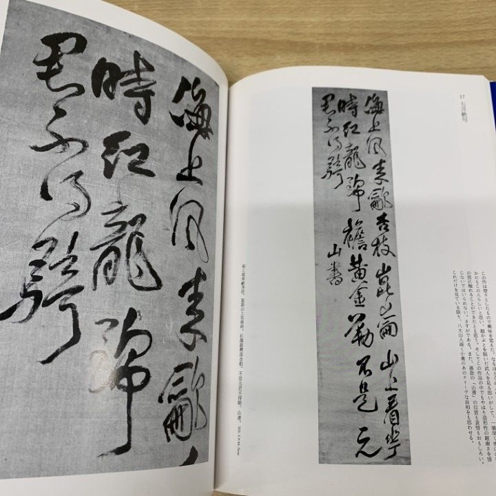 ◯傅山の書法 二玄社 山内観　1994年 △01)【1点限り!】傅山の書法/山内観/二玄社/1994年/書道/習字/手本