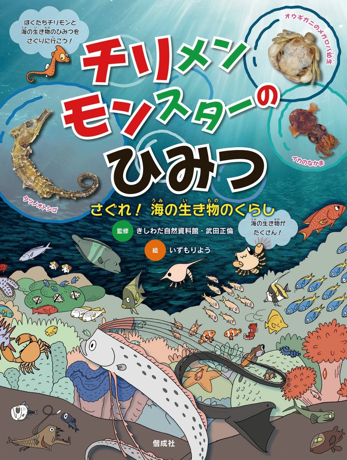 チリメンモンスターのひみつ さぐれ! 海の生き物のくらし
