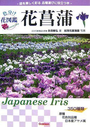 花菖蒲: 名前の由来と品種がわかる (色分け花図鑑)
