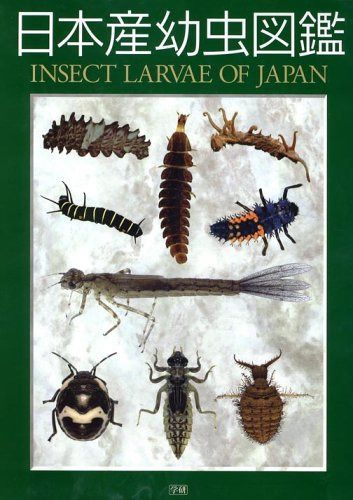 日本産幼虫図鑑