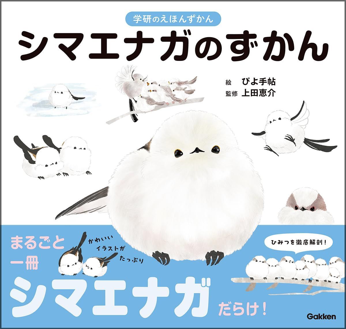 シマエナガのずかん (学研のえほんずかん 11巻)